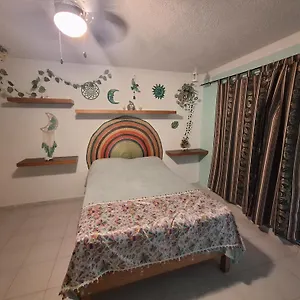  Hostal Mexico Arte